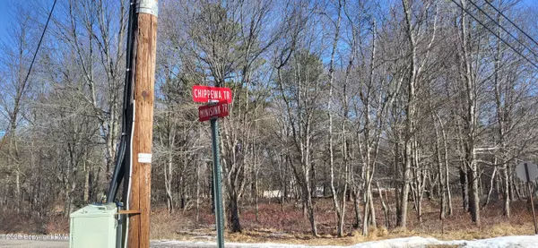 Albrightsville, PA 18210,Minisink & Chippewa TRL