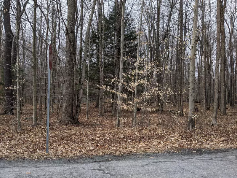 Lot 70, King Arthur RD, Pocono Lake, PA 18347