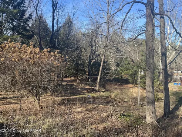 East Stroudsburg, PA 18302,LOT 25 Pinewood Cts DR