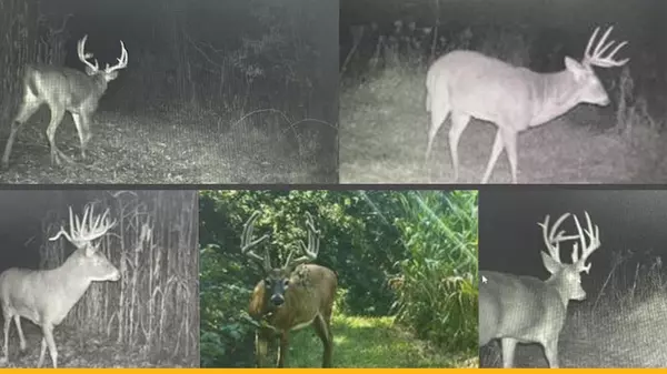 Lineville, IA 50147,3100 County J66 Road