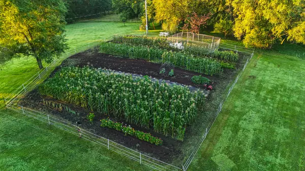 Lorimor, IA 50149,000 Clanton Creek Road