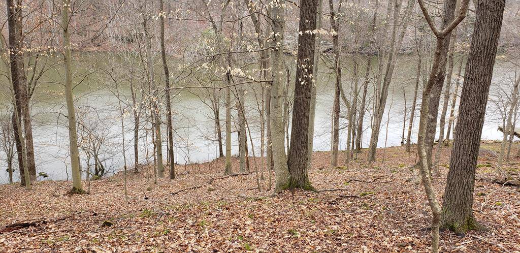 Lot#2 Canyon Run Rd, Lewisburg, KY 42256