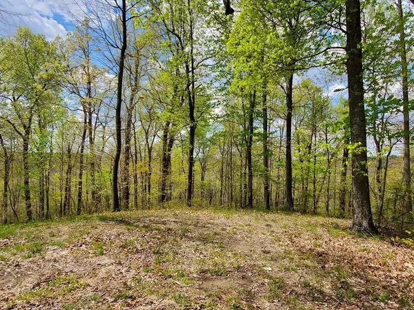 Falls Of Rough, KY 40119,63-65 Patriots Landing Ln.