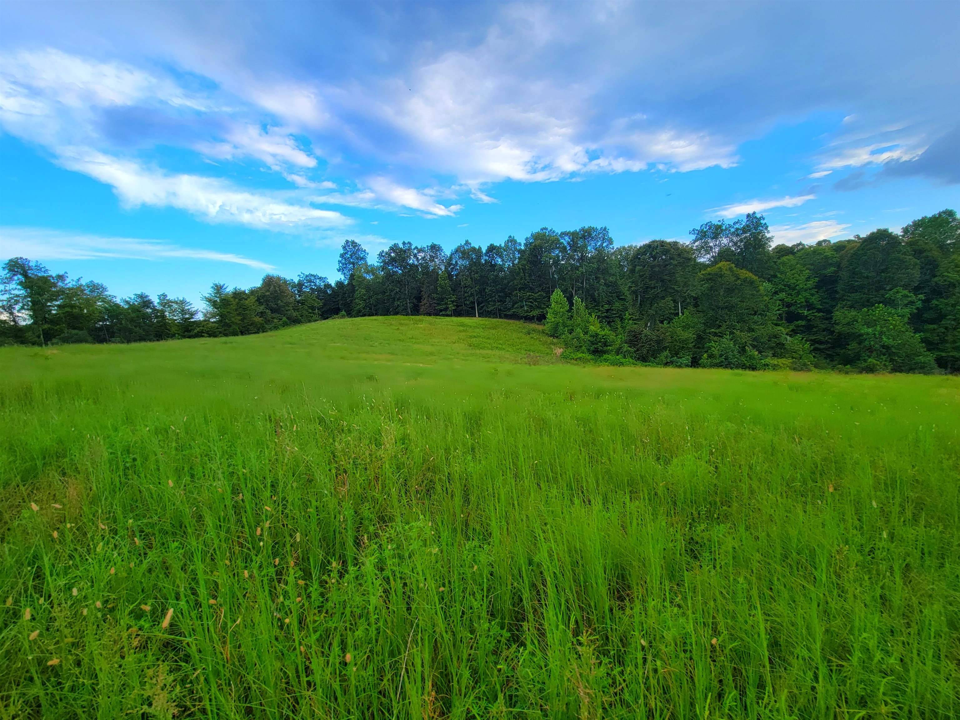Cromwell, KY 42333,0 Sandefur Crossing