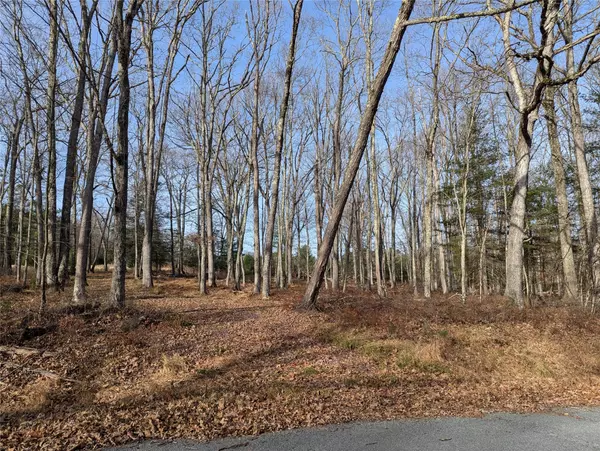 Narrowsburg, NY 12764,Lot 11 Mahls Pond Rd