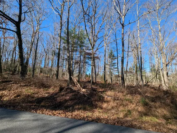 Narrowsburg, NY 12764,Lot 11 Mahls Pond Rd