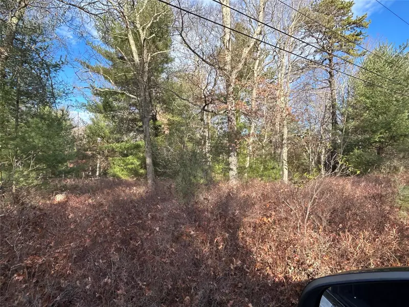 Lot 23.8 Kalin Weber RD, Glen Spey, NY 12737