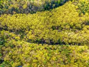 Ulster Park, NY 12487,TBD Ulster AVE