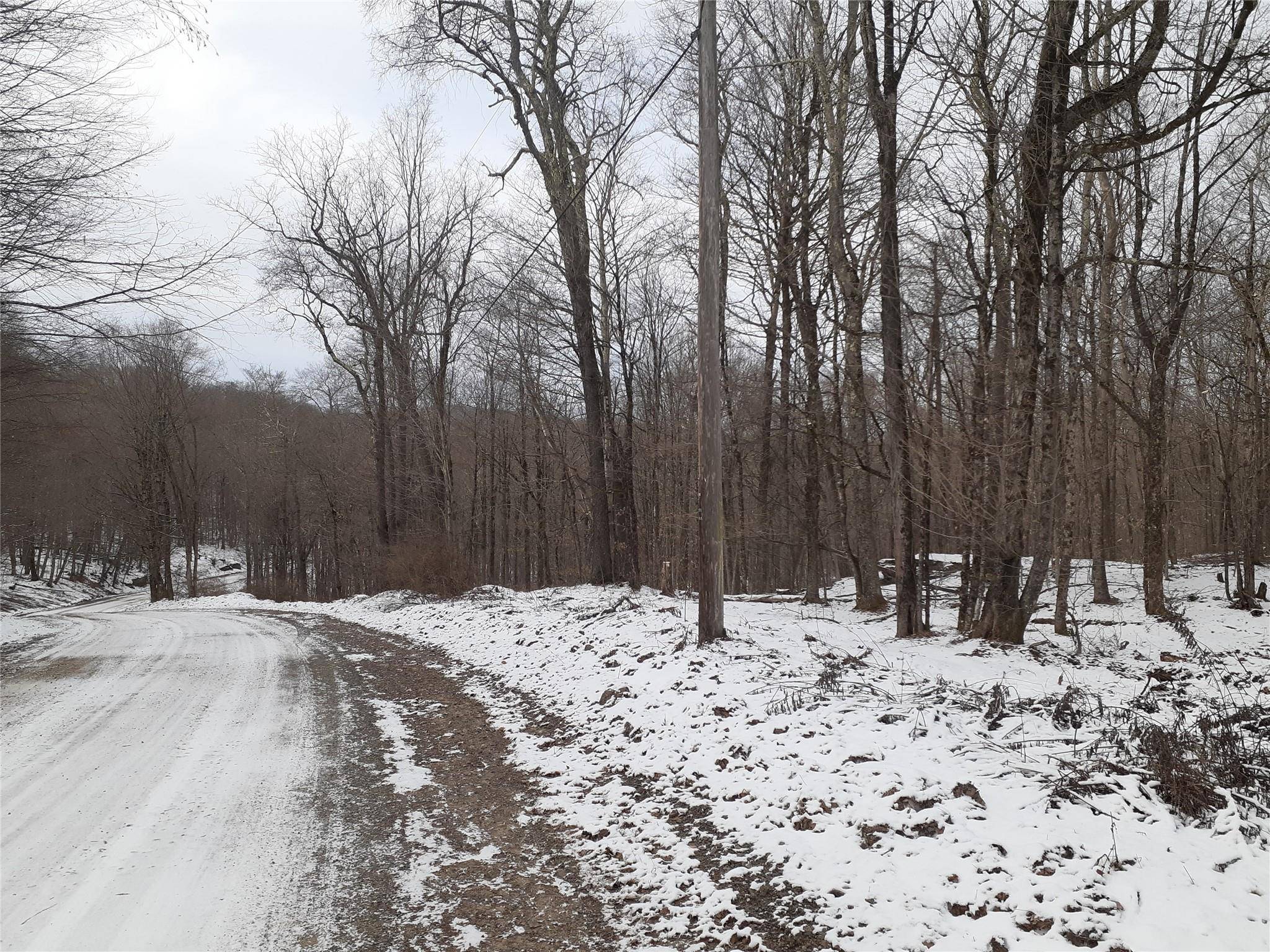 East Branch, NY 13756,1407 Eminence RD