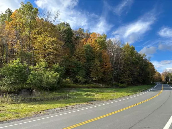 Liberty, NY 12754,51 Parksville RD