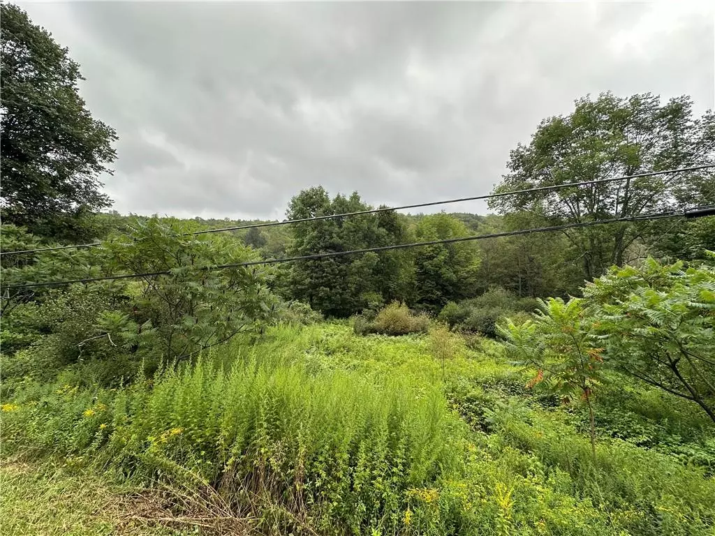 Youngsville, NY 12791,Shandelee RD