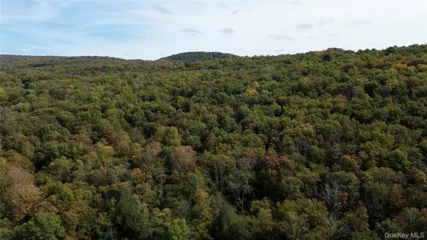 Youngsville, NY 12791,Shandelee RD