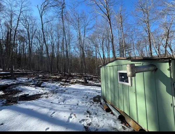 Narrowsburg, NY 12764,2 South (Foster) 16.-7-1.10 TRL