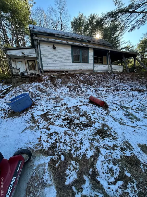Sparrowbush, NY 12780,92 Whitehead RD