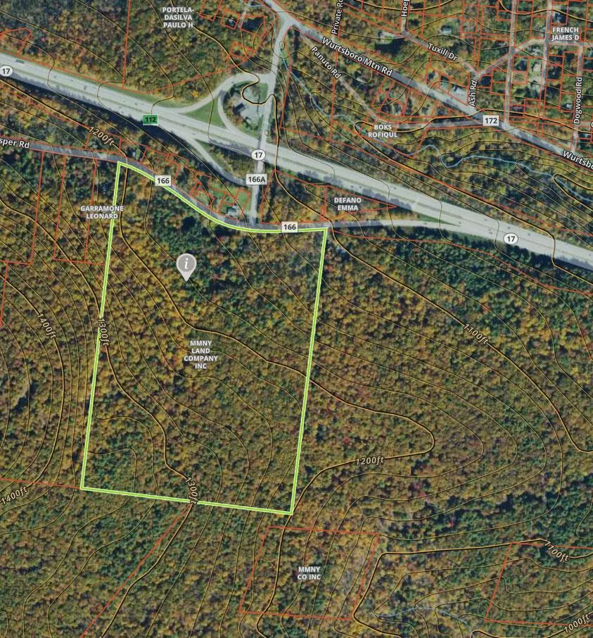 Wurtsboro, NY 12790,7 Mt Prosper