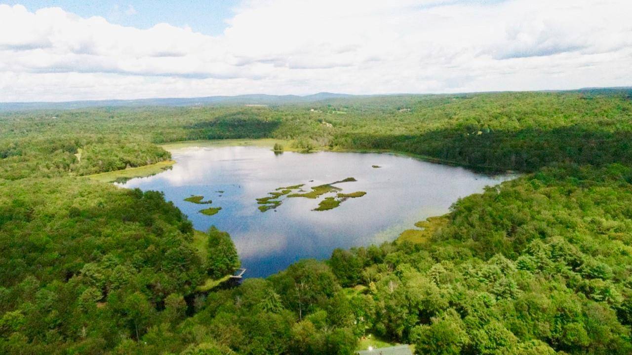 Swan Lake, NY 12783,122 Jaketown RD