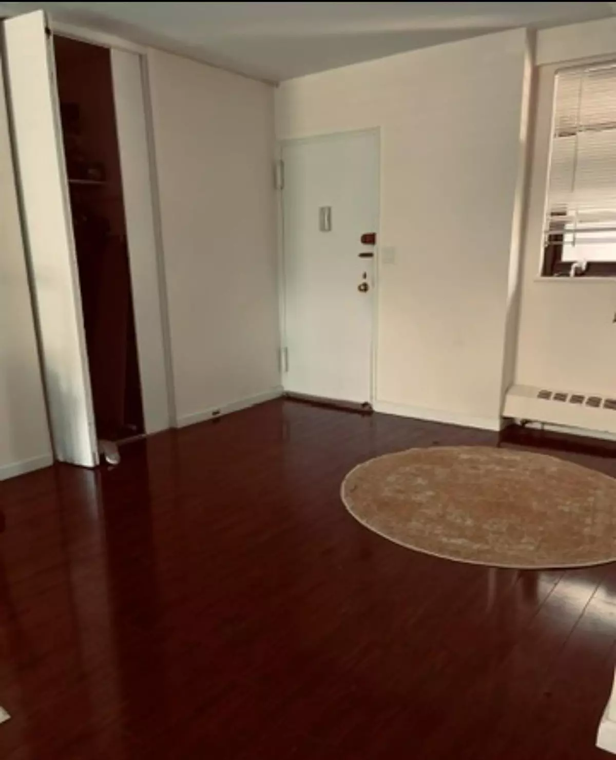 Rego Park, NY 11374,61-45 98 ST #5J