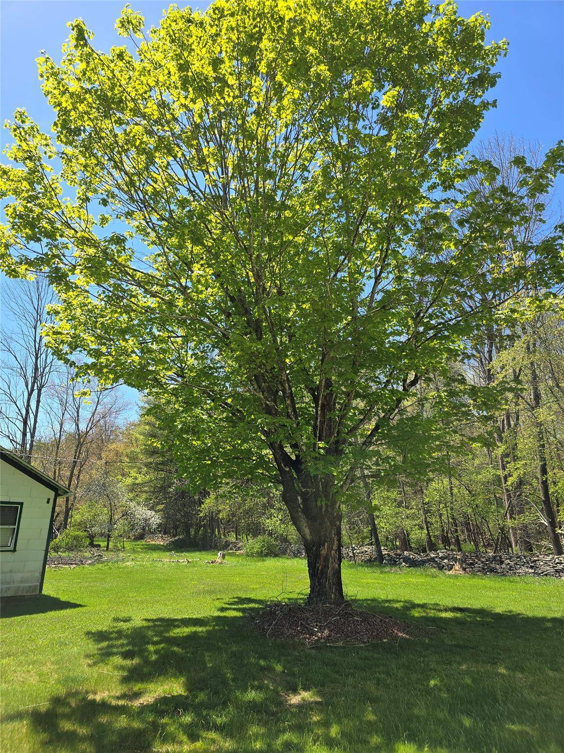 Call Listing Agent, NY 12732,24 Washington Lake RD