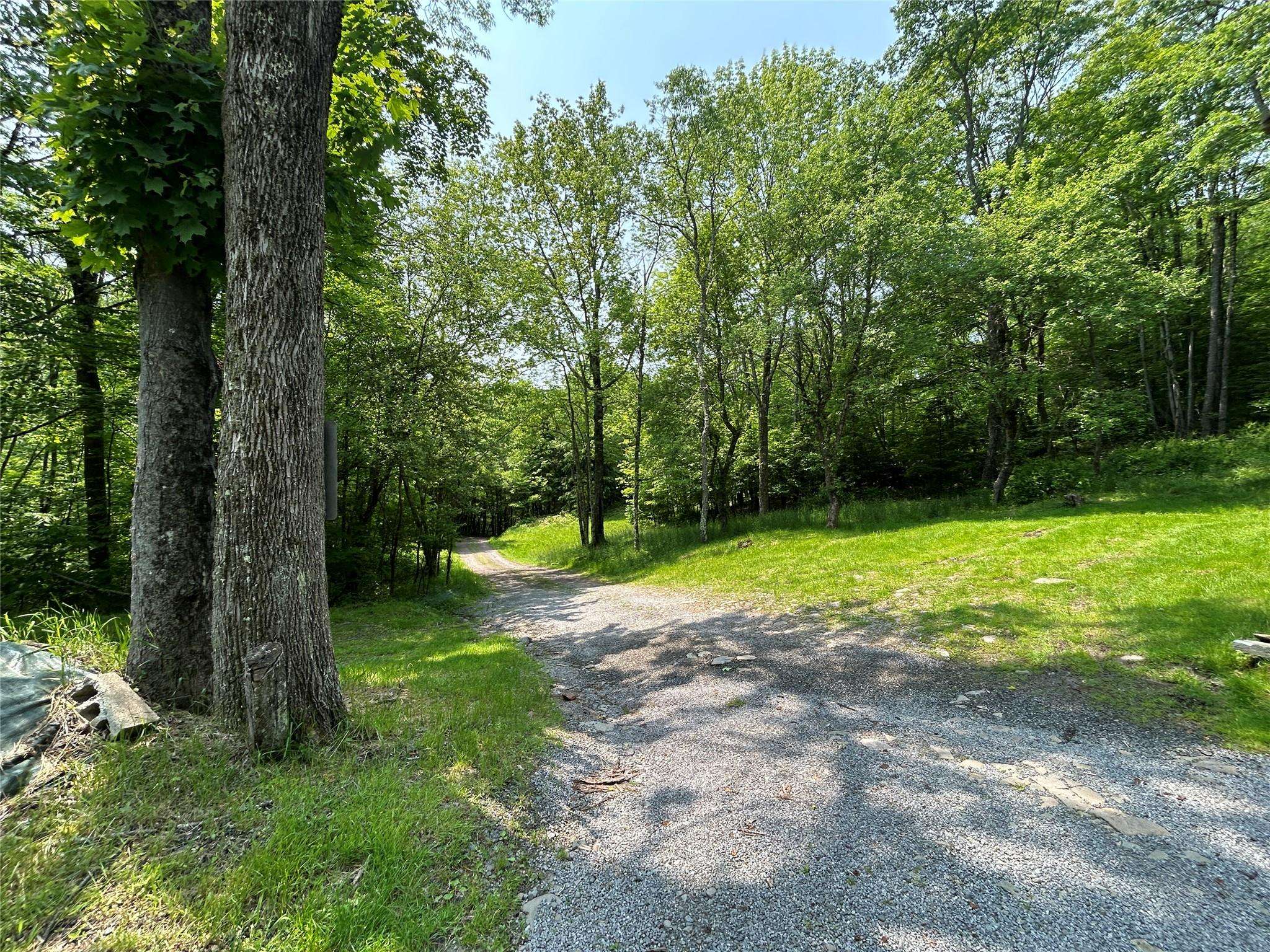 821 Berry Brook RD, Roscoe, NY 12776