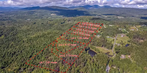 Hunter, NY 12427,132 Repucci Forest RD