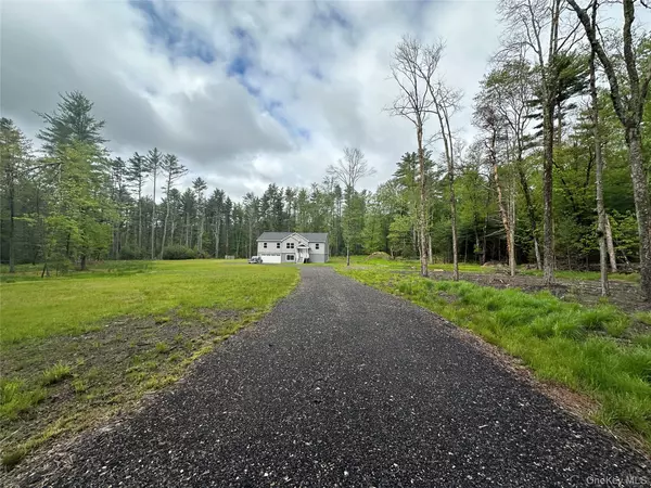 Barryville, NY 12719,1 Summit DR