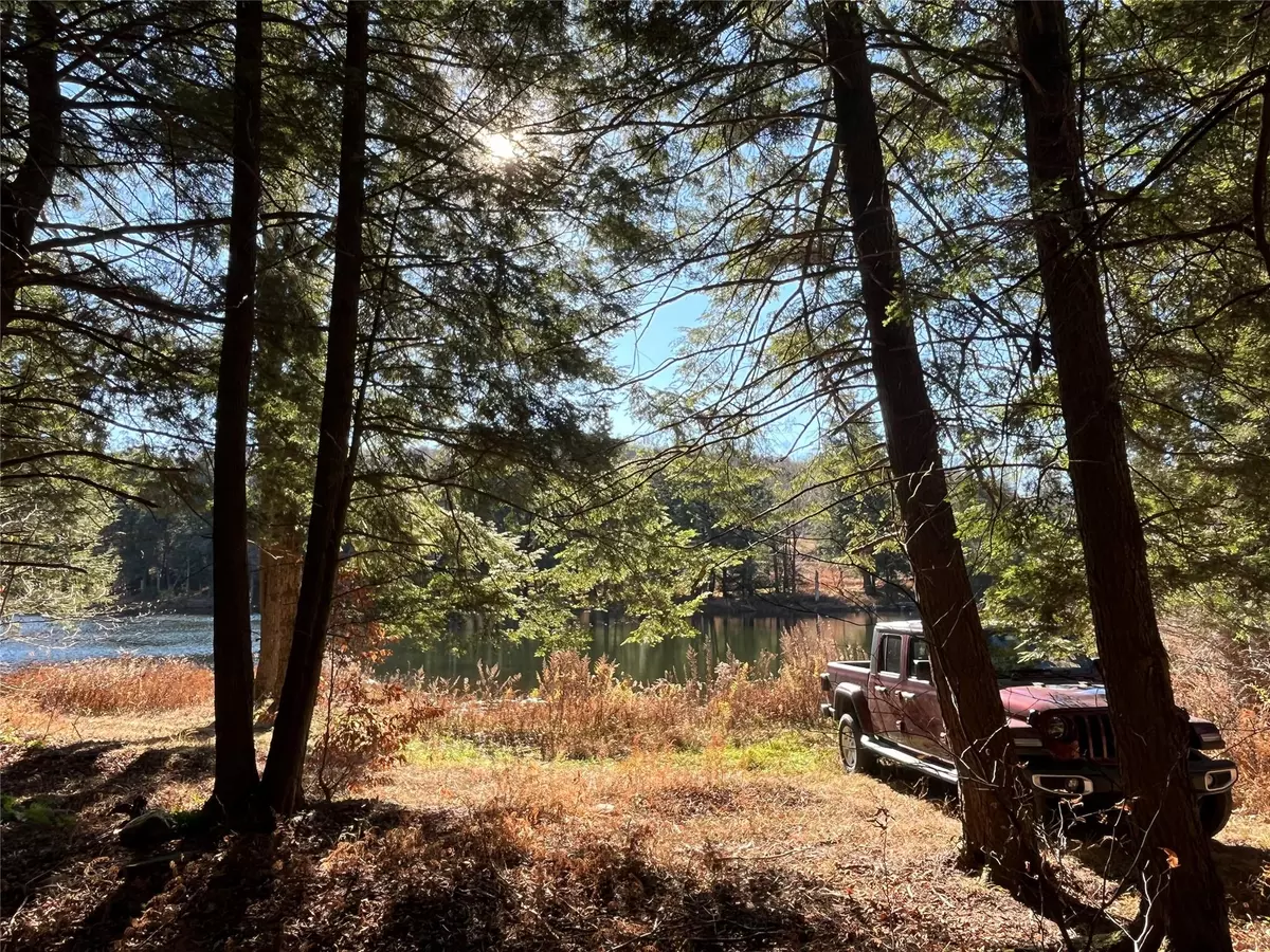 Parksville, NY 12768,10 Cold Creek PASS