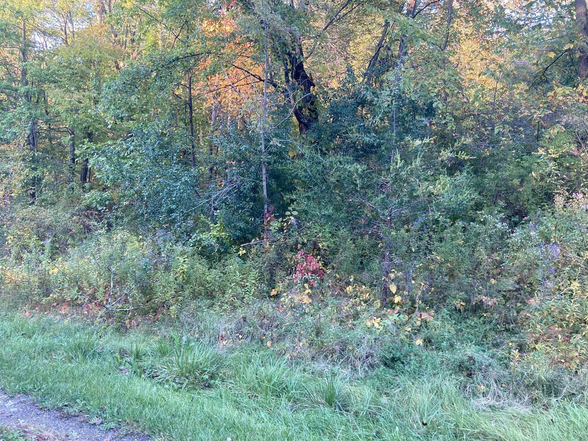 Hyde Park, NY 12538,RUTH LOT 32 DR
