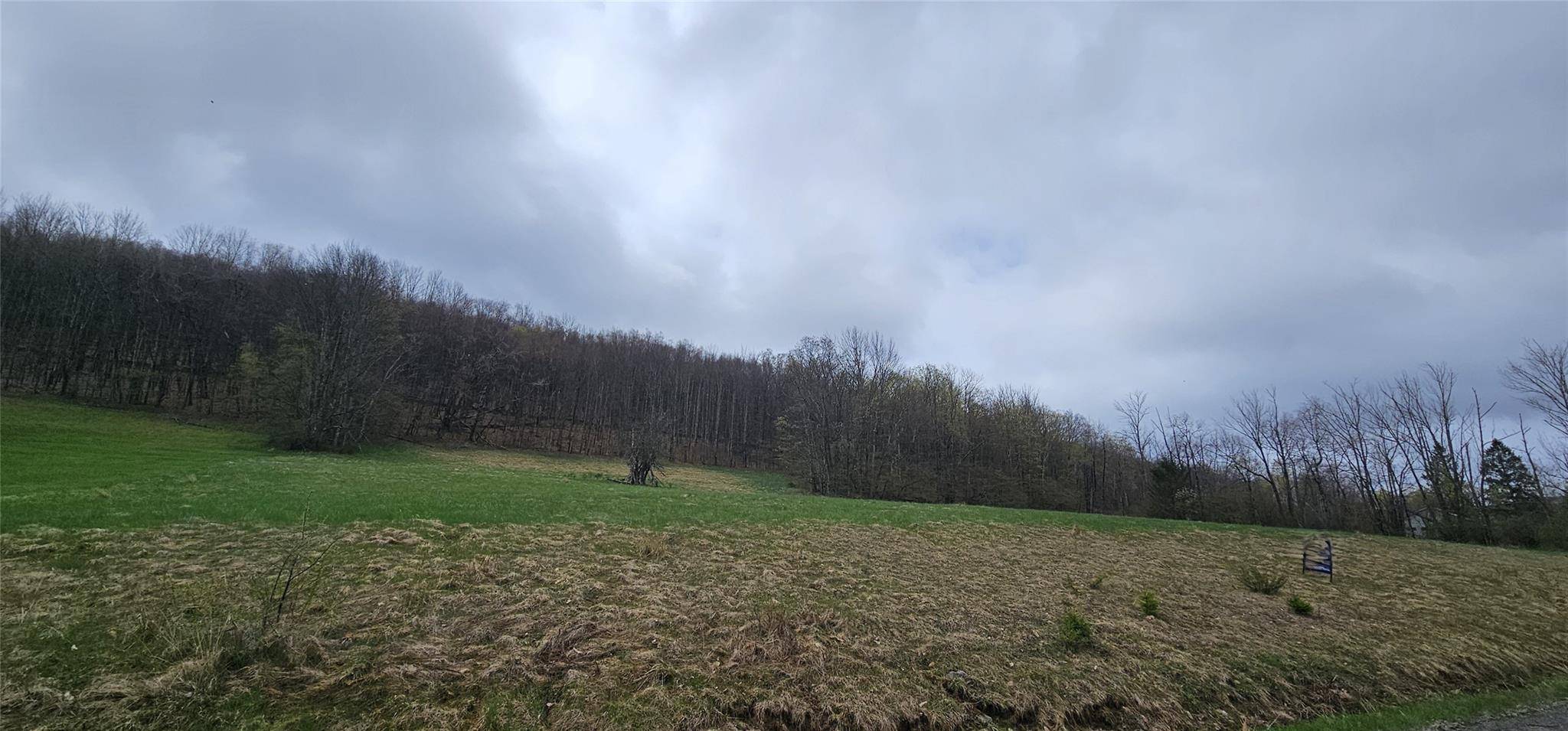 Lot 7.4 Hankins RD, Hankins, NY 12736