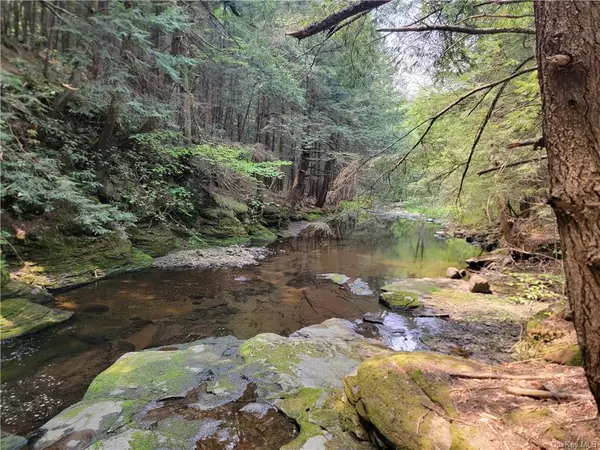 Parksville, NY 12768,172 Eagles Ridge WAY