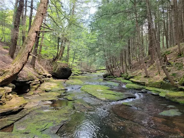 Parksville, NY 12768,172 Eagles Ridge WAY