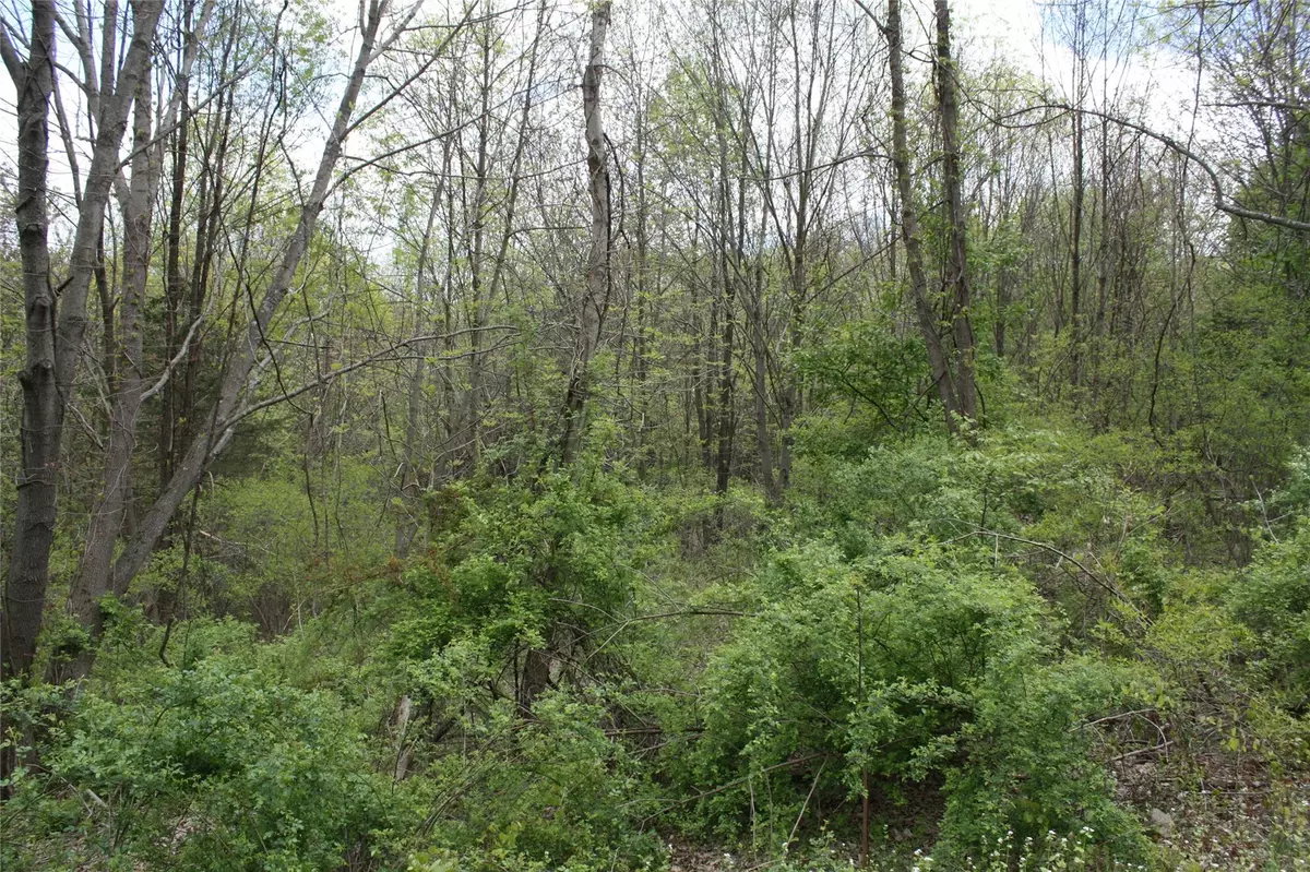 Port Jervis, NY 12771,Mountain RD