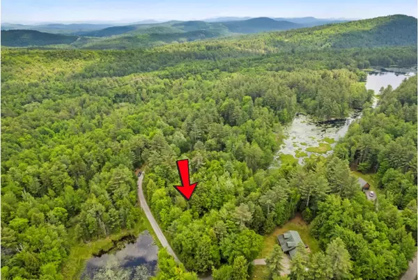 Call Listing Agent, NY 12886,321 Antler Lake RD