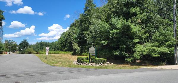 Monticello, NY 12701,Sturgis RD