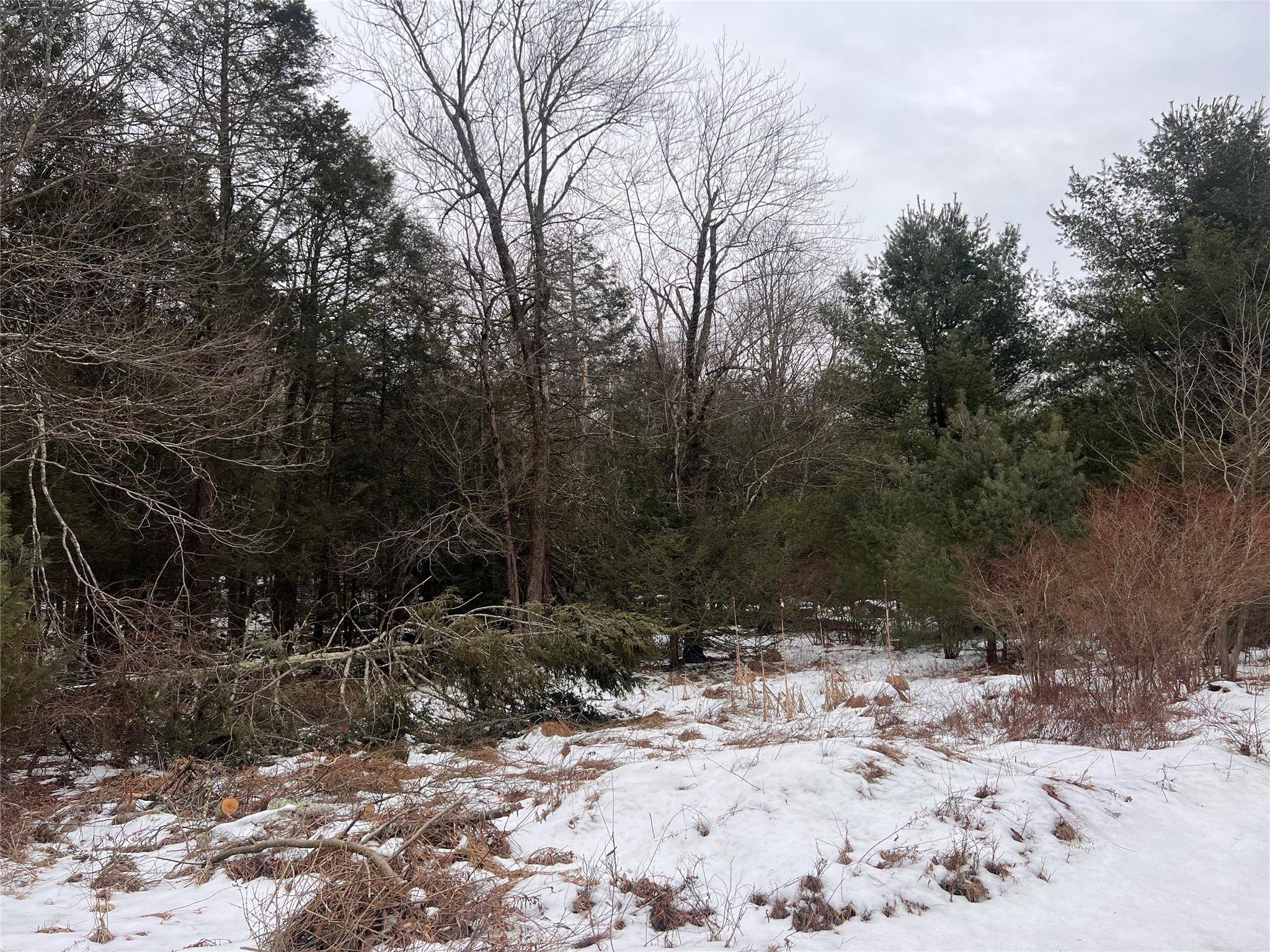 Rock Hill, NY 12775,Adams RD