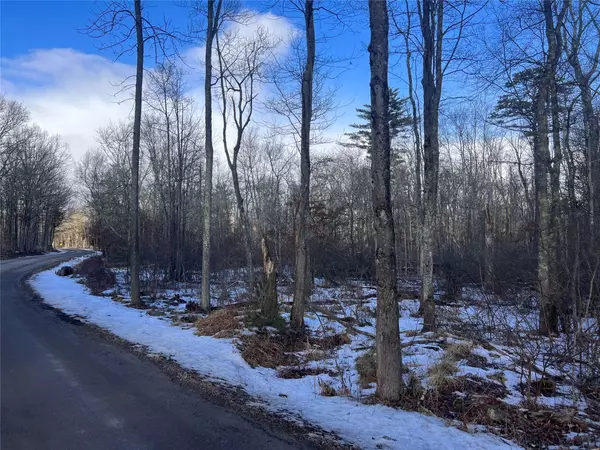 Narrowsburg, NY,Twn Rd 13