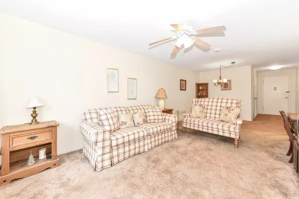1 Birchwood CT #1A, Mineola, NY 11501