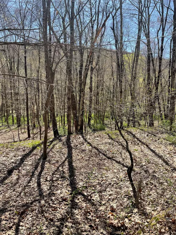 Hillsdale, NY,Whippoorwill Rd.