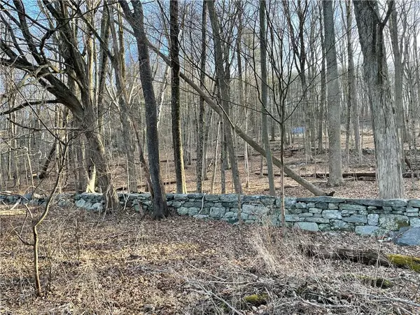 Carmel, NY 14477,Dixon RD