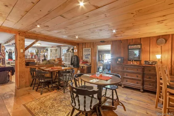 Shandaken, NY 12480,540 Rt-42