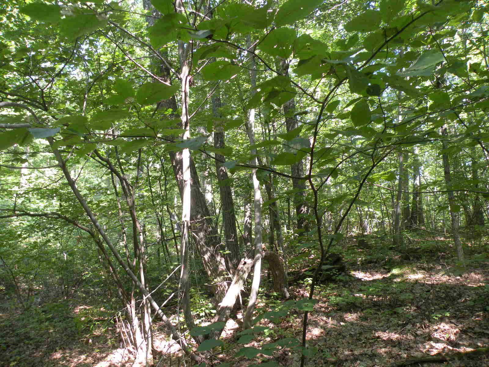 Millerton, NY,622 Bean River Road