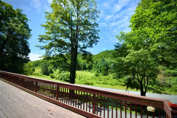 Roscoe, NY 12776,199 Gulf RD