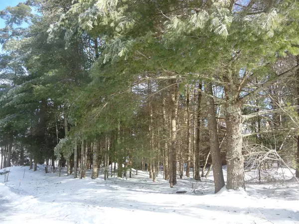 Rock Hill, NY 12775,62B Lake Shore DR