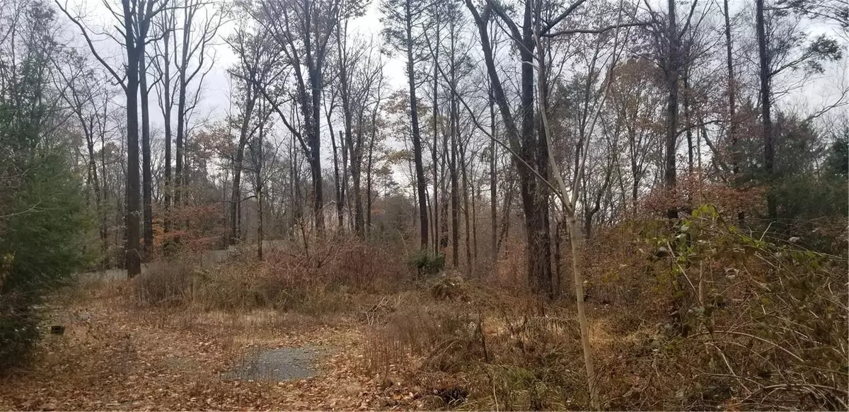 Briarcliff Manor, NY 10510,48 Gordon AVE