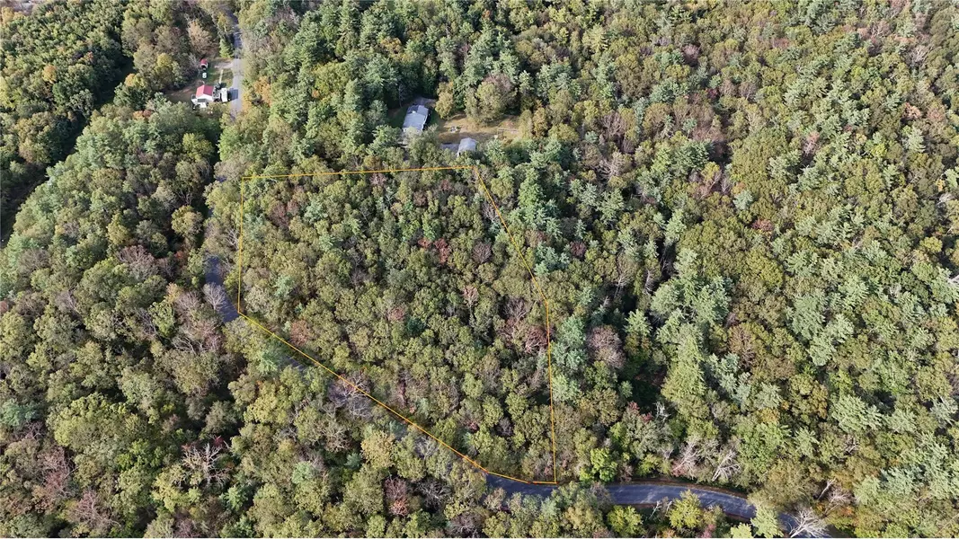 Schultz Hill RD, Staatsburg, NY 12580