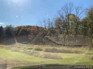 Rhinebeck, NY 12572,Primrose Hill RD