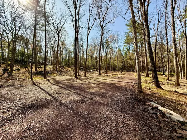 Eldred, NY 12732,State Route 55