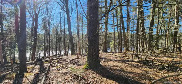 Forestburgh, NY 12777,Stag Forest RD