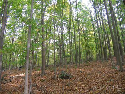 Unassigned Wiccopee RD, Putnam Valley, NY 10579