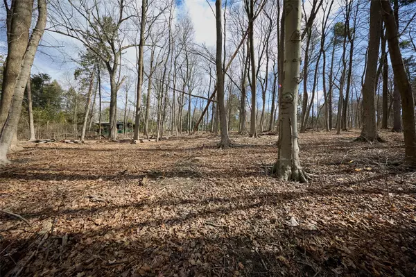 Tuxedo Park, NY 10987,288 Tuxedo RD