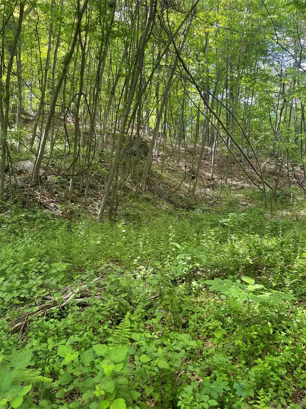 Putnam Valley, NY 10579,Old Church RD